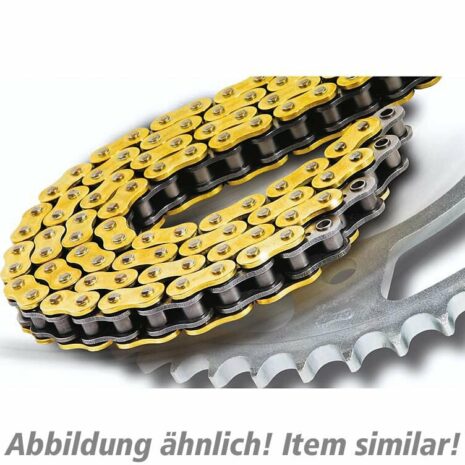 AFAM Kettenkit 530 für Kawasaki ZRX 1100  110/17/45