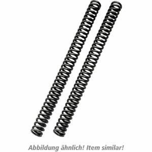 Öhlins Gabelfedern R&T 310/10