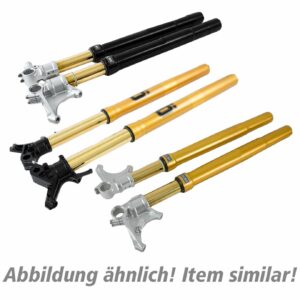 Öhlins USD Gabel R&T FGRT 740/120mm für Ducati Panigale 1199/1299